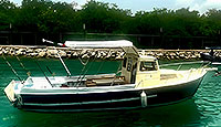 Aquarama - 29' Custom (Economy - Cozumel)