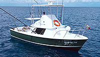 MR. Green - Full-Size Fishing (Cozumel)